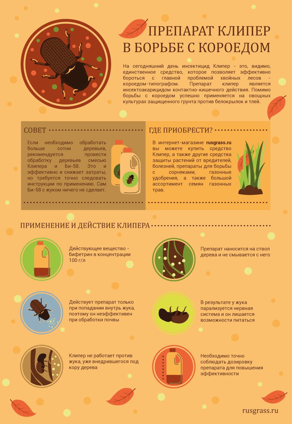 Инфографика. Препапат Клипер в борьбе с короедом