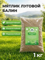 Мятлик луговой Балин, 1 кг Мятлик луговой Балин, 1 кг