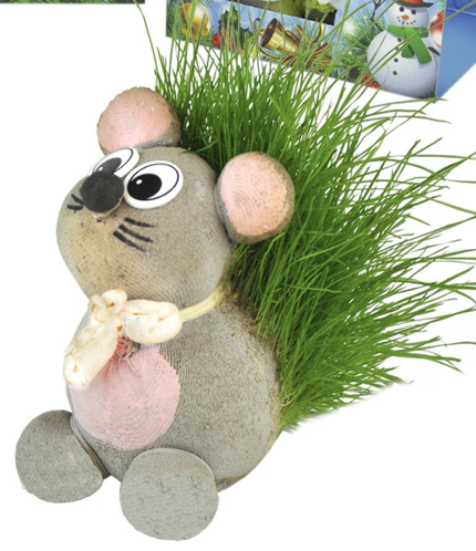 Травянчик Мышь в новогодней упаковке