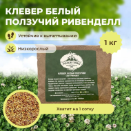 Клевер белый низкорослый Ривендел (1 кг) Клевер белый низкорослый Ривендел (1 кг)
