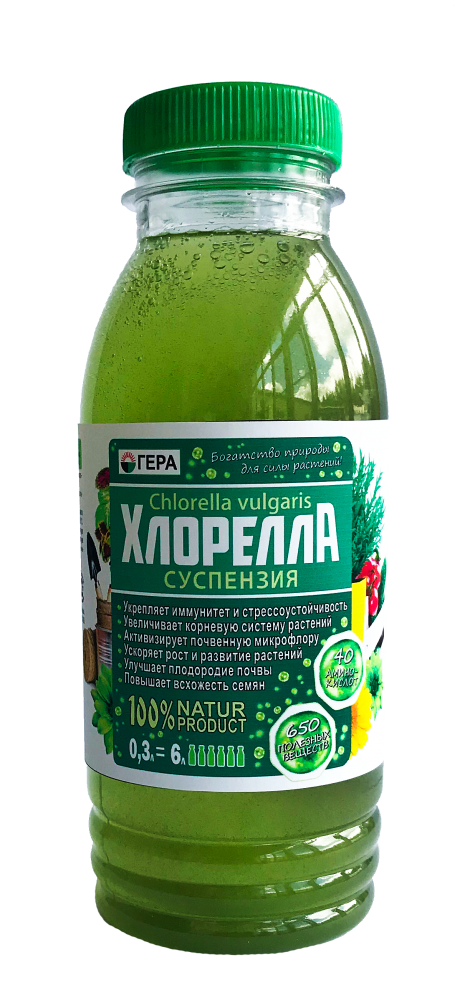 Подкормка хлореллы. Суспензия хлореллы для растений. хлорелла для рассады. биоудобрения для сада и огорода.