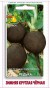 Редька Зимняя круглая черная