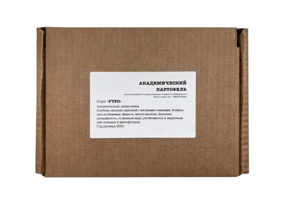 Картофель семенной Утро (сетка 2 кг)