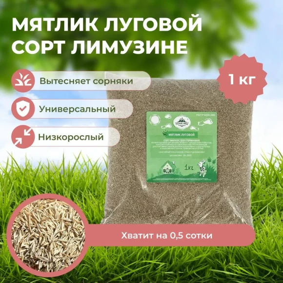 Мятлик луговой Лимузине (1 кг)