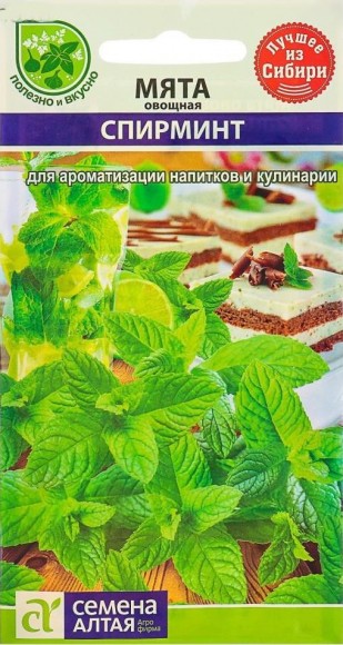Мята Спирминт