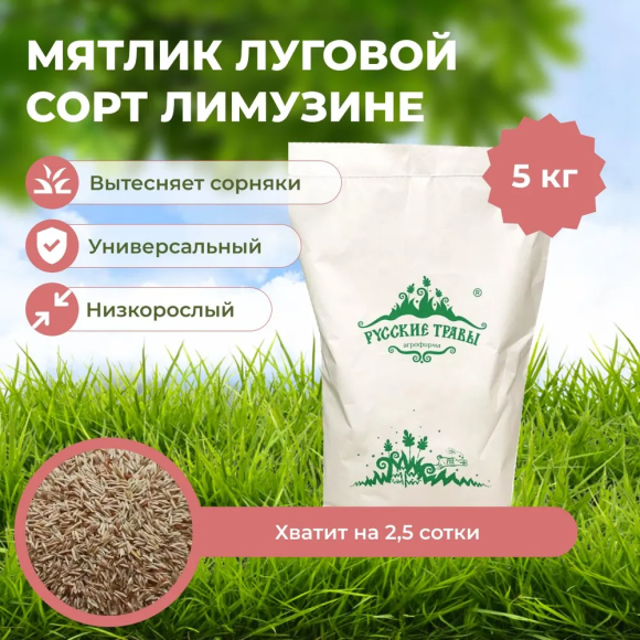 Мятлик луговой Лимузине 5 кг