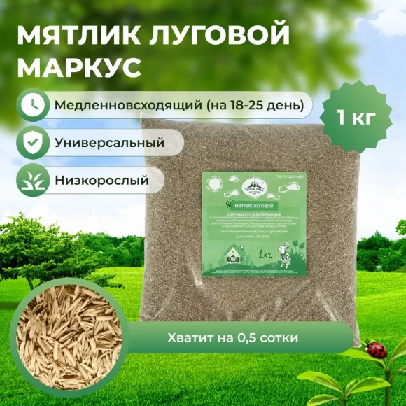 Мятлик луговой Маркус (1 кг)