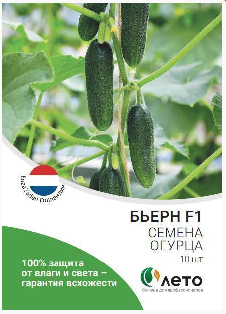Огурцы Бьерн Купить Семена