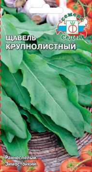 Щавель Крупнолистный Щавель Крупнолистный