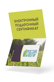 Электронный подарочный сертификат на 1000 рублей Электронный подарочный сертификат на 1000 рублей