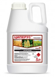 Инсектицид Циперус, 5л Инсектицид Циперус, 5л