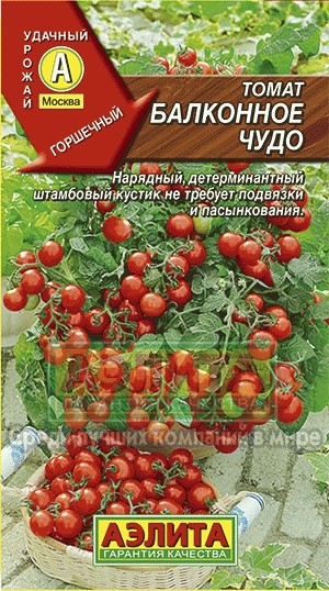 Томат чудо отзывы фото урожайность