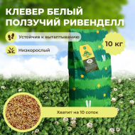 Клевер белый ползучий Ривенделл (10 кг) Клевер белый ползучий Ривенделл (10 кг)