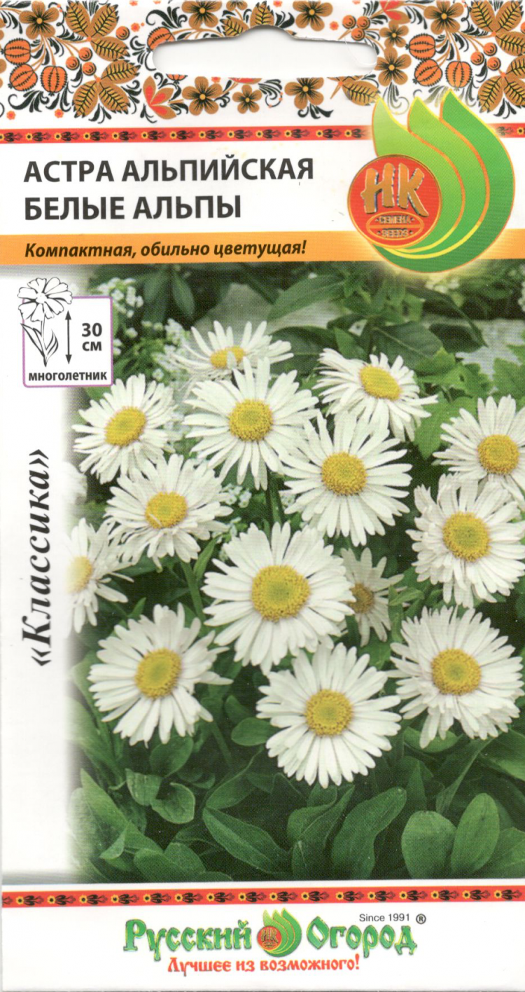 Астра Альпийская Многолетняя Купить Семена