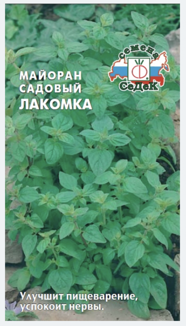 Семена Седек Купить В Спб