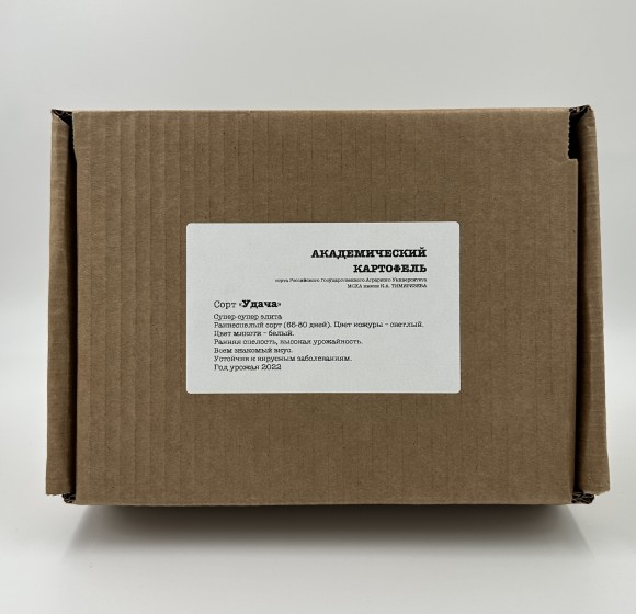 Картофель семенной Удача (сетка 2 кг)