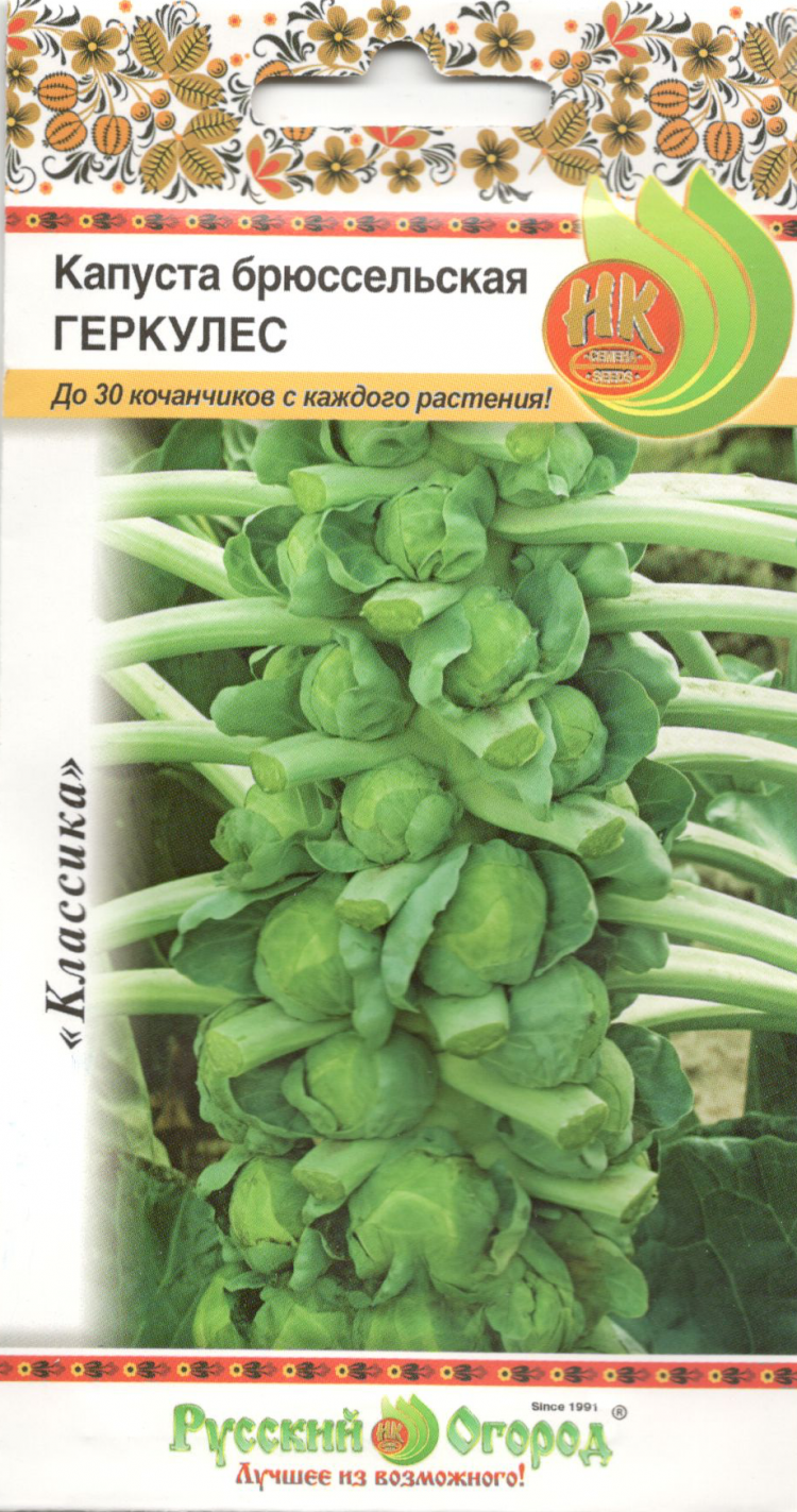 Брюссельская геркулес. Капуста брюссельская Геркулес 1342. Брюссельская капуста семена. Сорта капусты брюссельская. Капуста брюссельская Геркулес 1342 0,5гр/10/200.