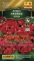 Флокс махровый Промис алый 