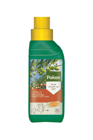 Жидкое удобрение Pokon для цитрусовых (250мл)