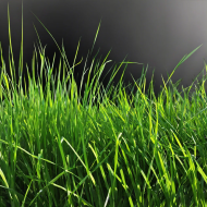 Смесь для гидропосева AQUAGRASS Базис (3 кг)