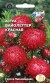 Астра пионовидная Вайолеттер, красная