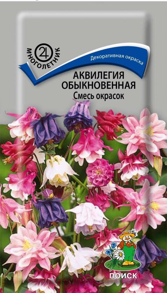 Аквилегия Купить