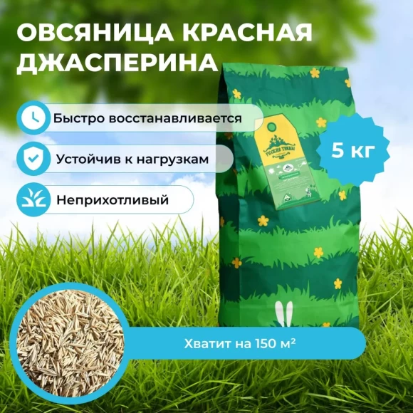 Овсяница красная красная Джасперина 5 кг  