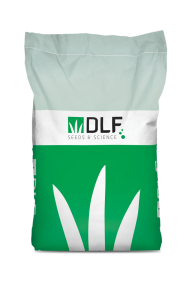 Овсяница красная красная Реверент (20 кг)