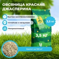 Овсяница красная красная Джасперина 3,5 кг  Овсяница красная красная Джасперина 3,5 кг